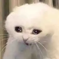 HT xồn làm