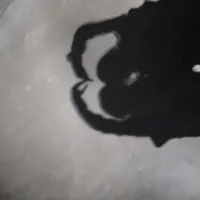 con lười của tư bản