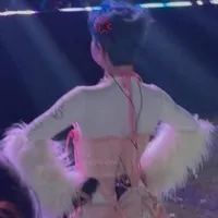 Pháp Kiều - Mèo