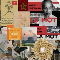 tác giả rất yêu việt nam