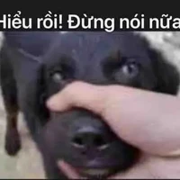 nhân vật ẩn[nv 9]