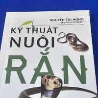 cả 4 người(-ai bt)