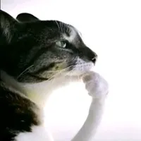 ai đó, trừ ai thì trừ