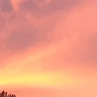 tác giả ( ánh nguyệt )