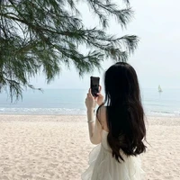 lê thiên anh- chị hùng