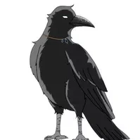 quạ của Minako (sara)