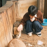 Nguyễn Đoàn Trung Anh