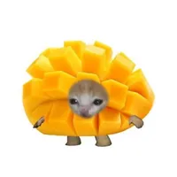 Tác Giả Tên Xoài