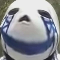 t/g