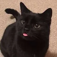 ???
