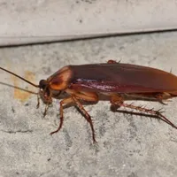 con t/g👁️👄👁️