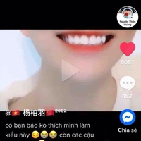Tác giả 