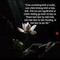 Hệ thống