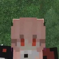 h1h3