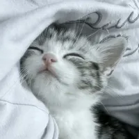 all