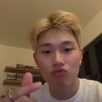 dương domic