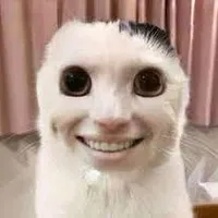 allbot