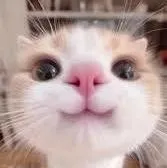 all trừ ai thì trừ