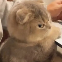 Syn siêu lườiii ✨