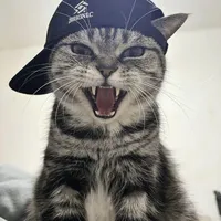 Tác giả