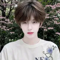 Lâm Bạch Dương/Alpha