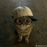 Trai đẹp bị đẹp traii 😼