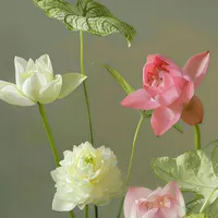 Tác giả thích ngược😘