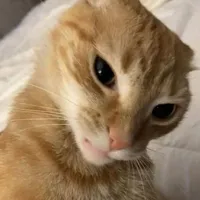cân nv ngoài lề