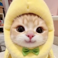 hệ thống ăn dưa sai đẹp chiêu cute...