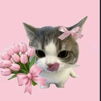 hệ thống ăn dưa sai đẹp chiêu cute...