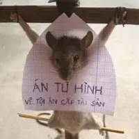 hệ thống ham ăn
