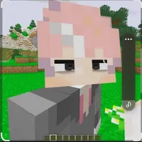 hiha b n h a (nam phụ)