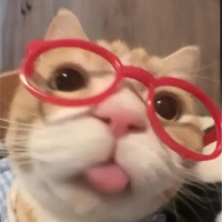 Chipnee