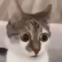 [ Tác giả ☠️ ]