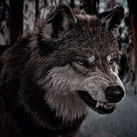Alpha Wolf