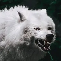 White Wolf