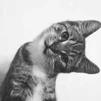 𝑨𝒖𝒕𝒉𝒐𝒓.