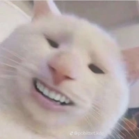 𝘯𝘷𝘱