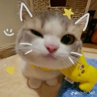tác giả chủ nợ