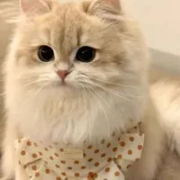 Hệ thống nhiệm vụ