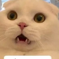 cân  tất cả các nhân vật