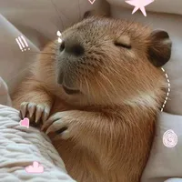 Cappybara - Khôi Vũ