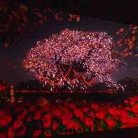 T/g đăng chap thất thường :)))