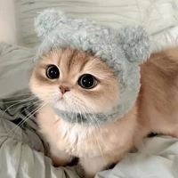 Tác giả