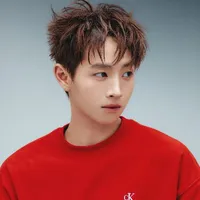 Nguyễn Thành Công (CongB 콩비)