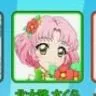 kitaoji Sakura