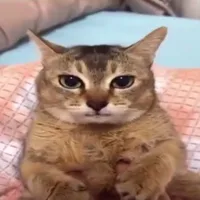 Thanh Nguyên(bn toiz -) )