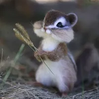 Hệ thống Yudong (Thú)