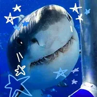 Cá Mập🦈
