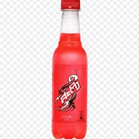 sư phụ